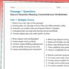 TPT603-G8-Secrets in the Windmill 4th Grade Natural Disasters Reading Comprehension Worksheets | 10 Passages & Answer Keys