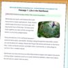 TPT603-G8-Secrets in the Windmill 4th Grade Ocean Animals Reading Comprehension Worksheets | 10 Passages & Answer Keys