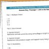 TPT603-G8-Secrets in the Windmill 4th Grade Ocean Animals Reading Comprehension Worksheets | 10 Passages & Answer Keys